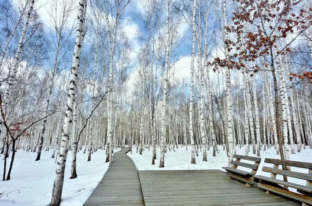 640?wx_fmt=jpeg&from=appmsg