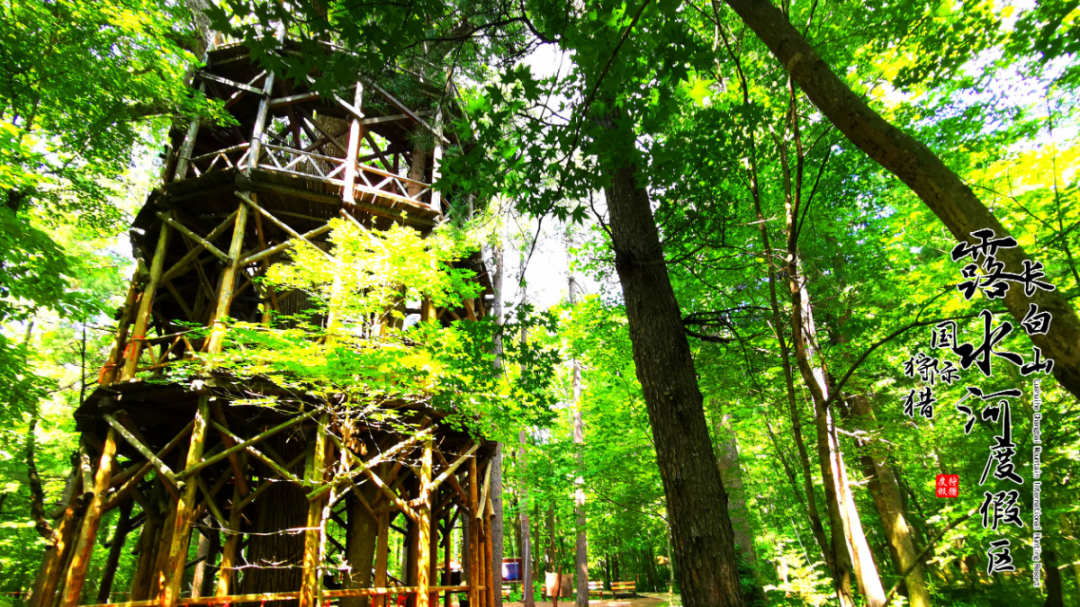 640?wx_fmt=png&from=appmsg